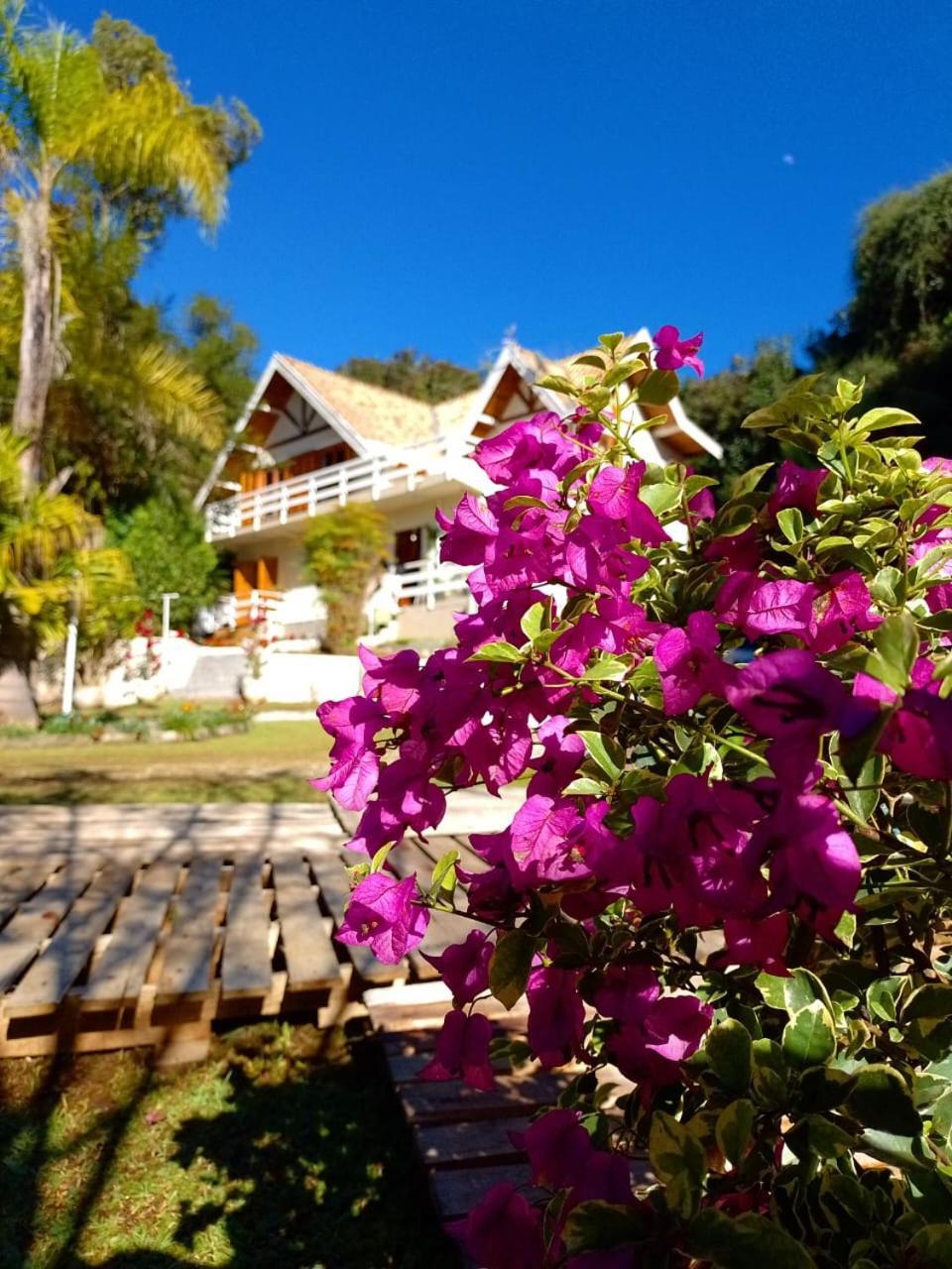 Bed and Breakfast Casa Do Papai Campos do Jordão Exterior foto