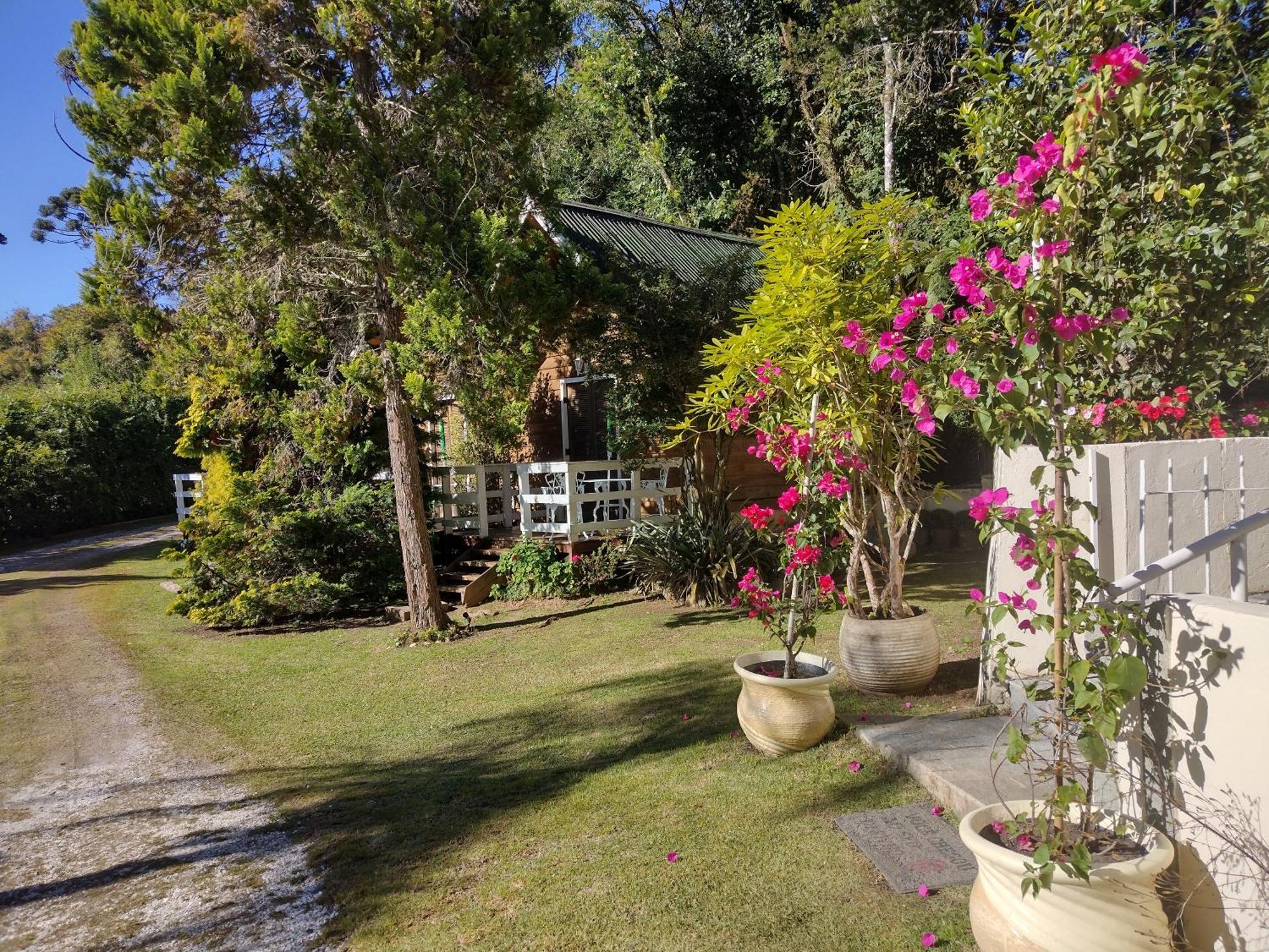 Bed and Breakfast Casa Do Papai Campos do Jordão Exterior foto